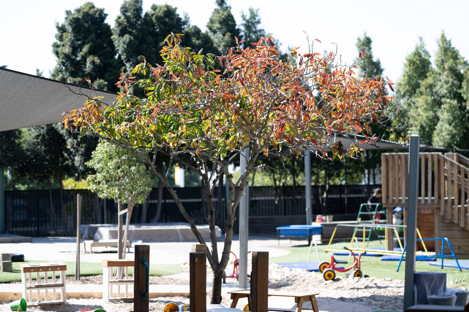 Sparkways Early Learning Showgrounds
