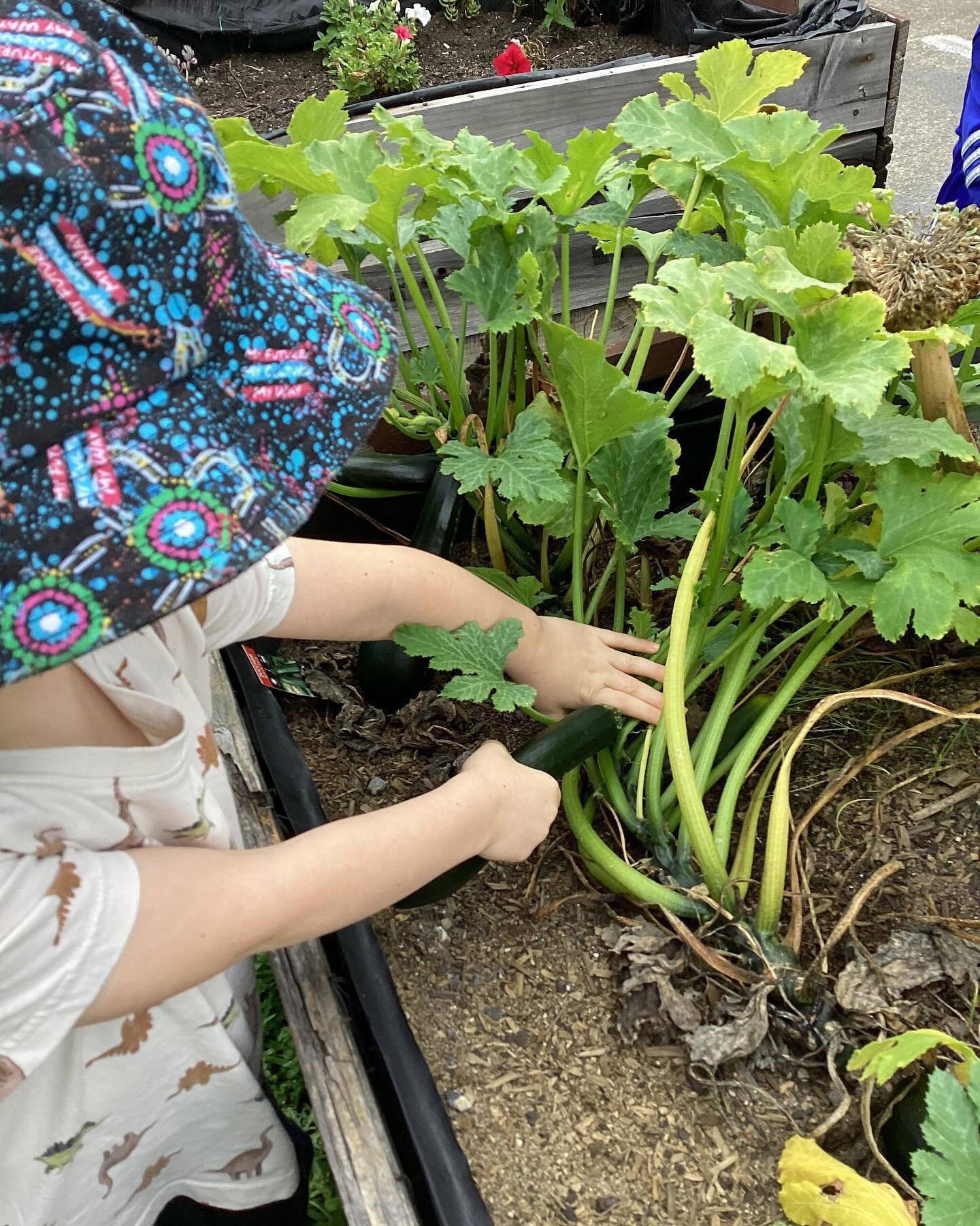 Treasure Cove Early Learning Centre