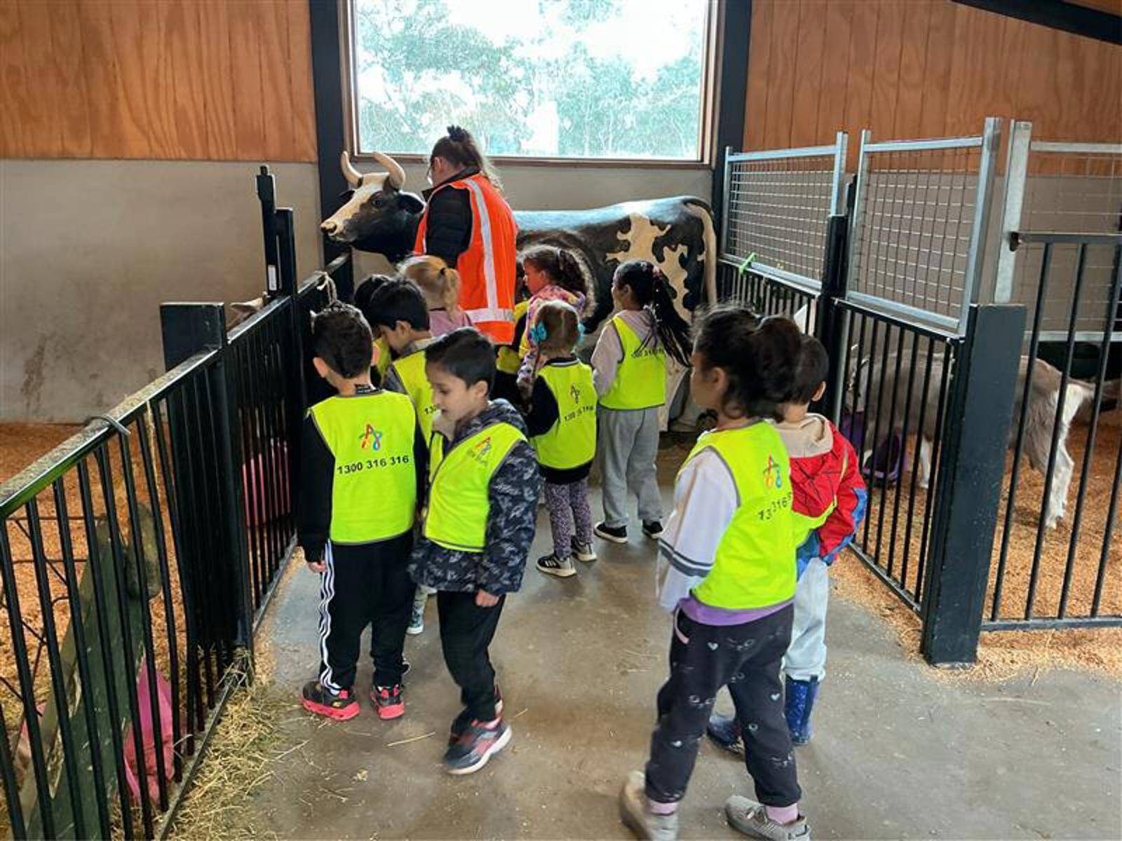 Little Stars Early Learning & Kindergarten - Ferntree Gully