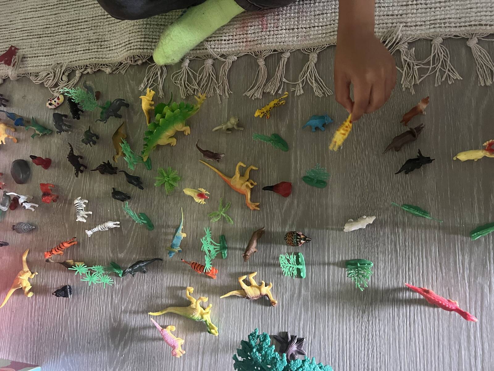 Chirag Family Day Care