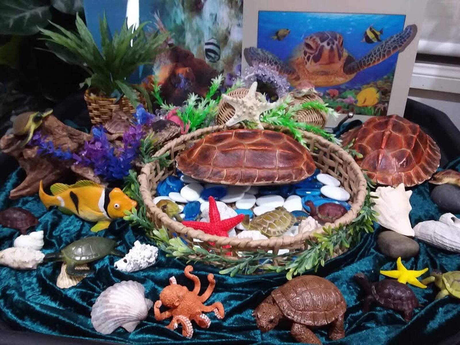 Angie's Family Day Care - Engadine, NSW