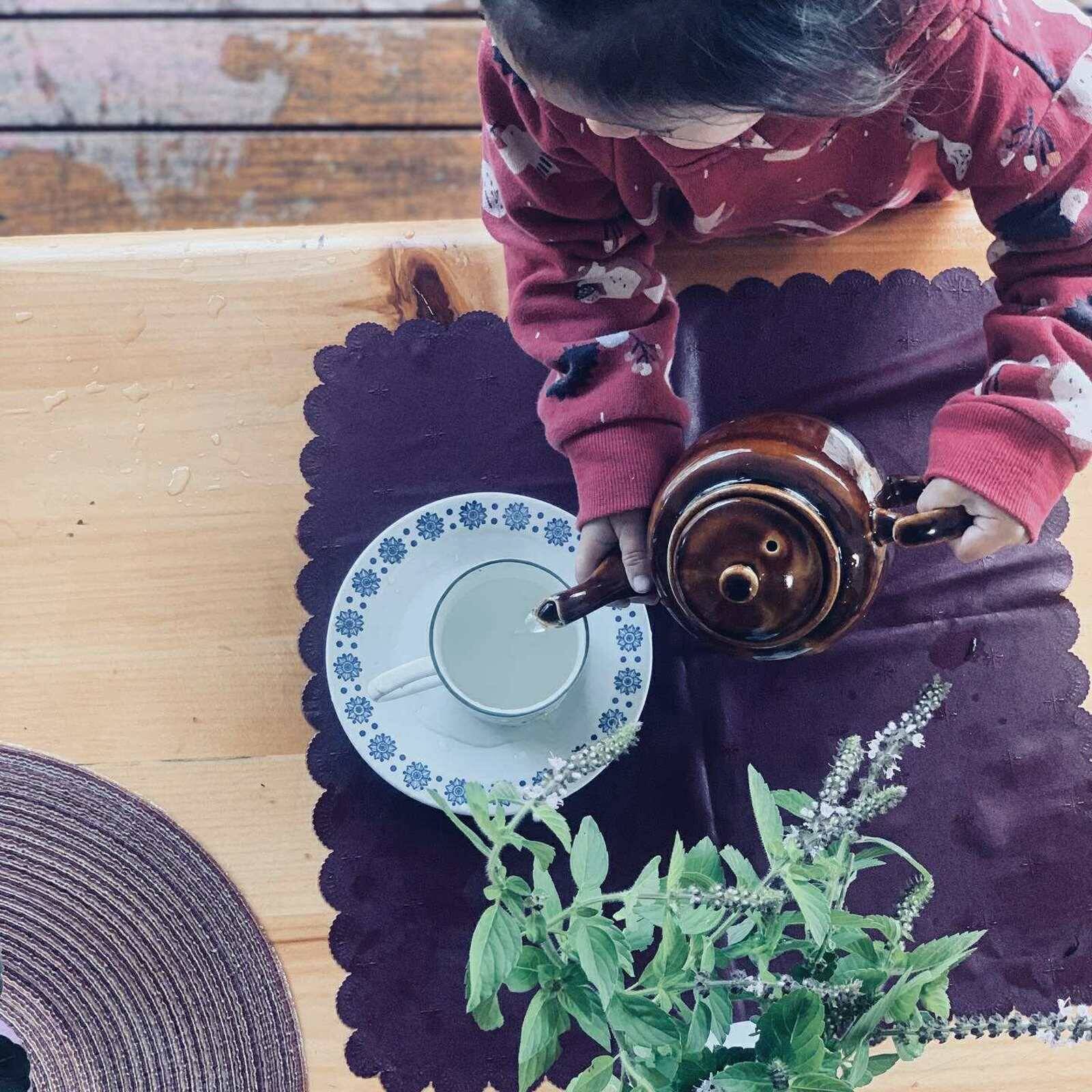 Albury Treetops Early Education, Care and Preschool