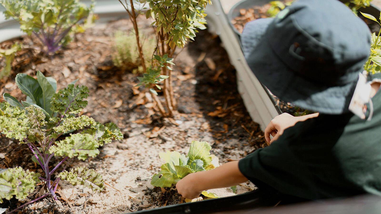 Sparrow Early Learning Carrum Downs