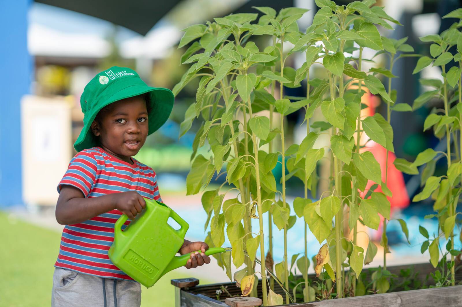 Edge Early Learning Peregian Breeze
