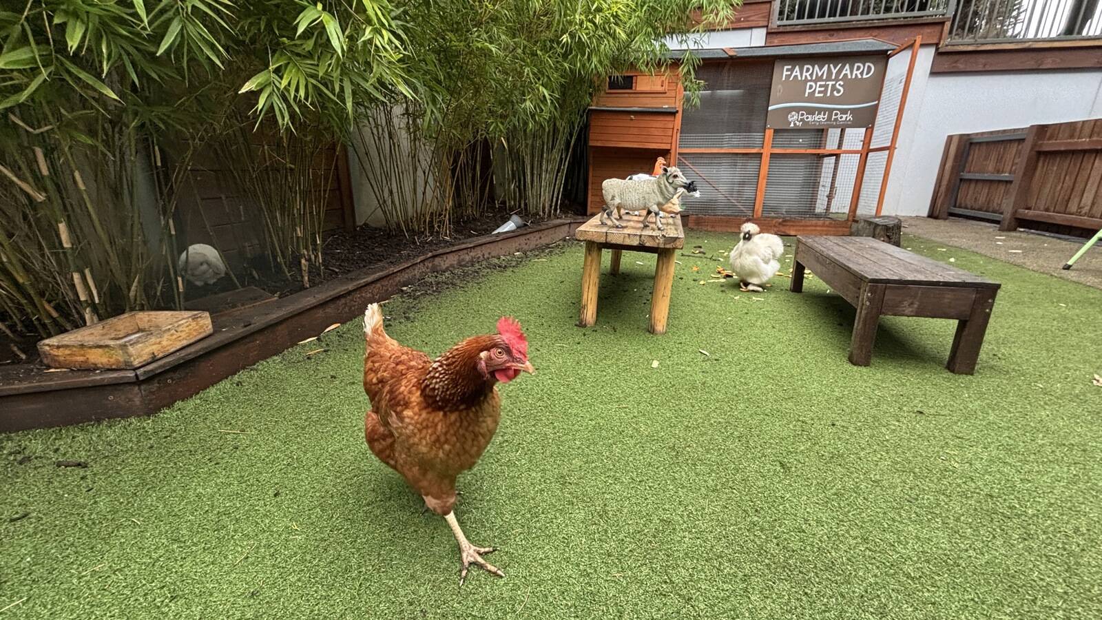 Paisley Park Early Learning Centre Templestowe