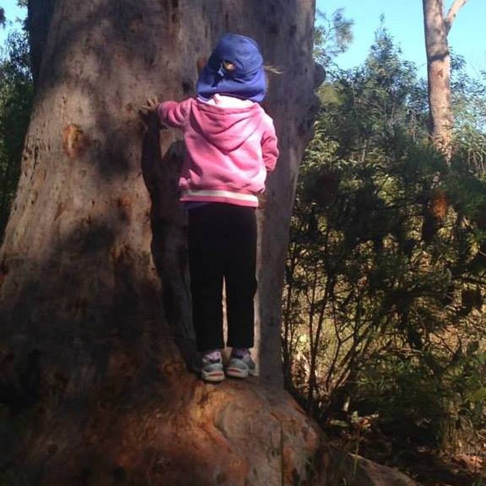 Glendale Early Education Centre