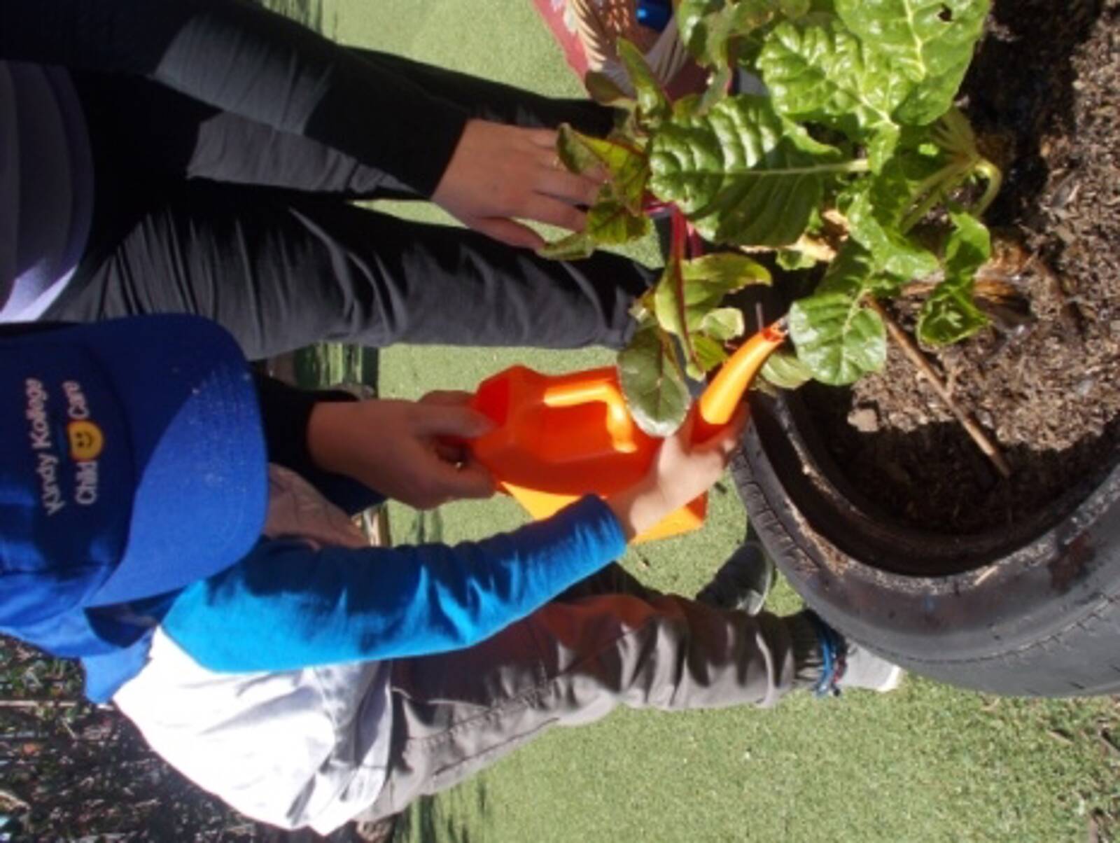 Little Seedlings Early Learning Centre Kanwal