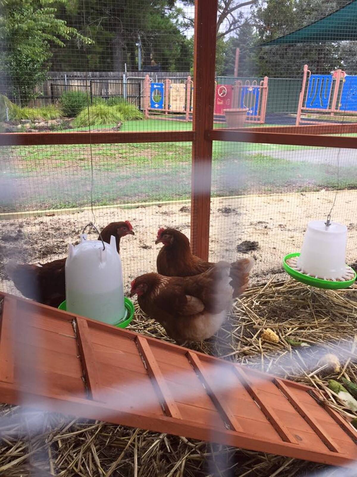 Stella Bella Children's Centre