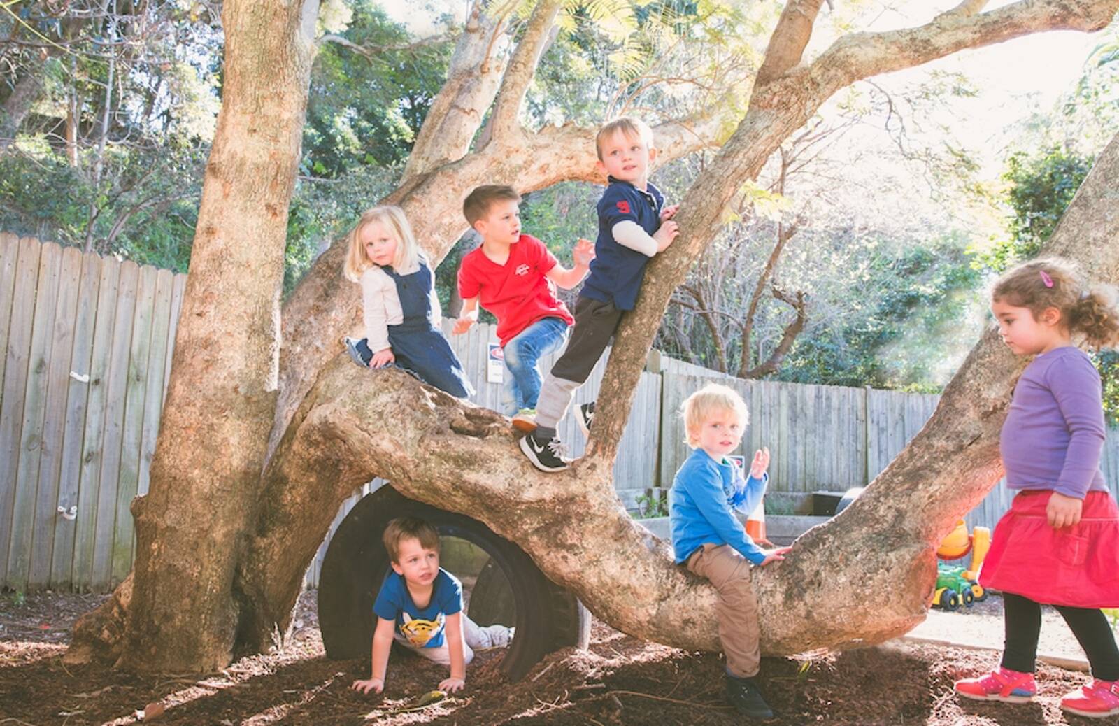 Pine Street Kindergarten