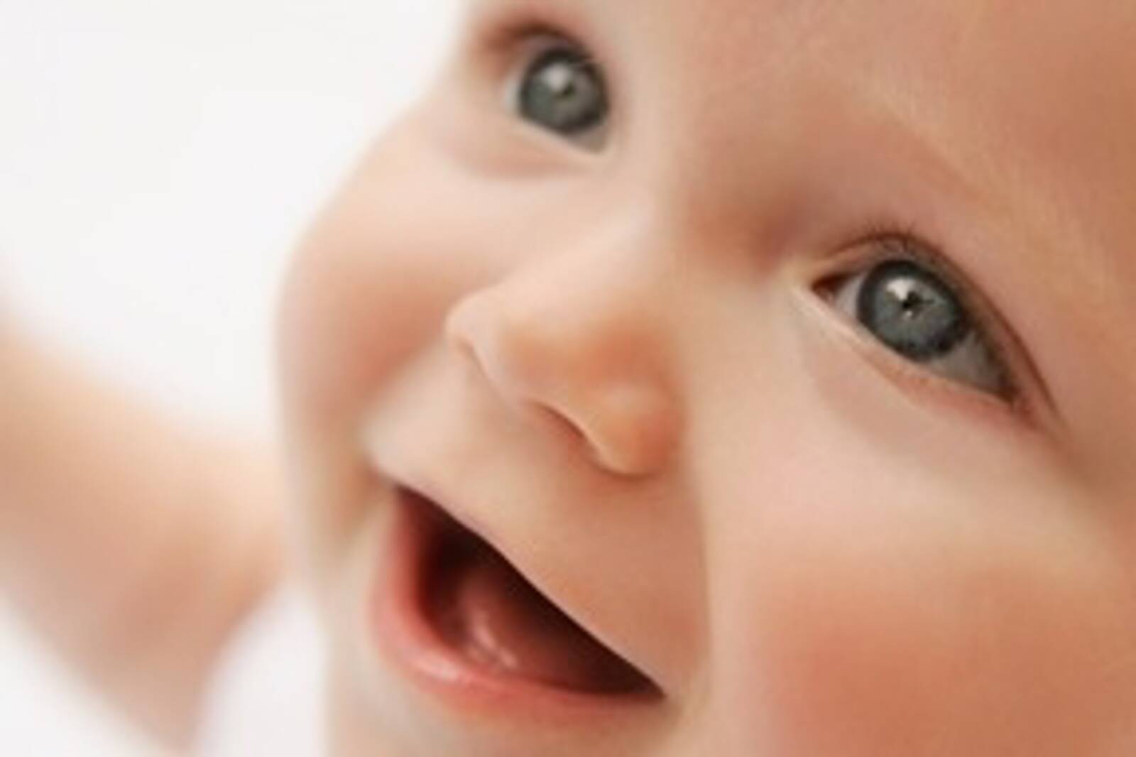 Little Branches Early Education Centre