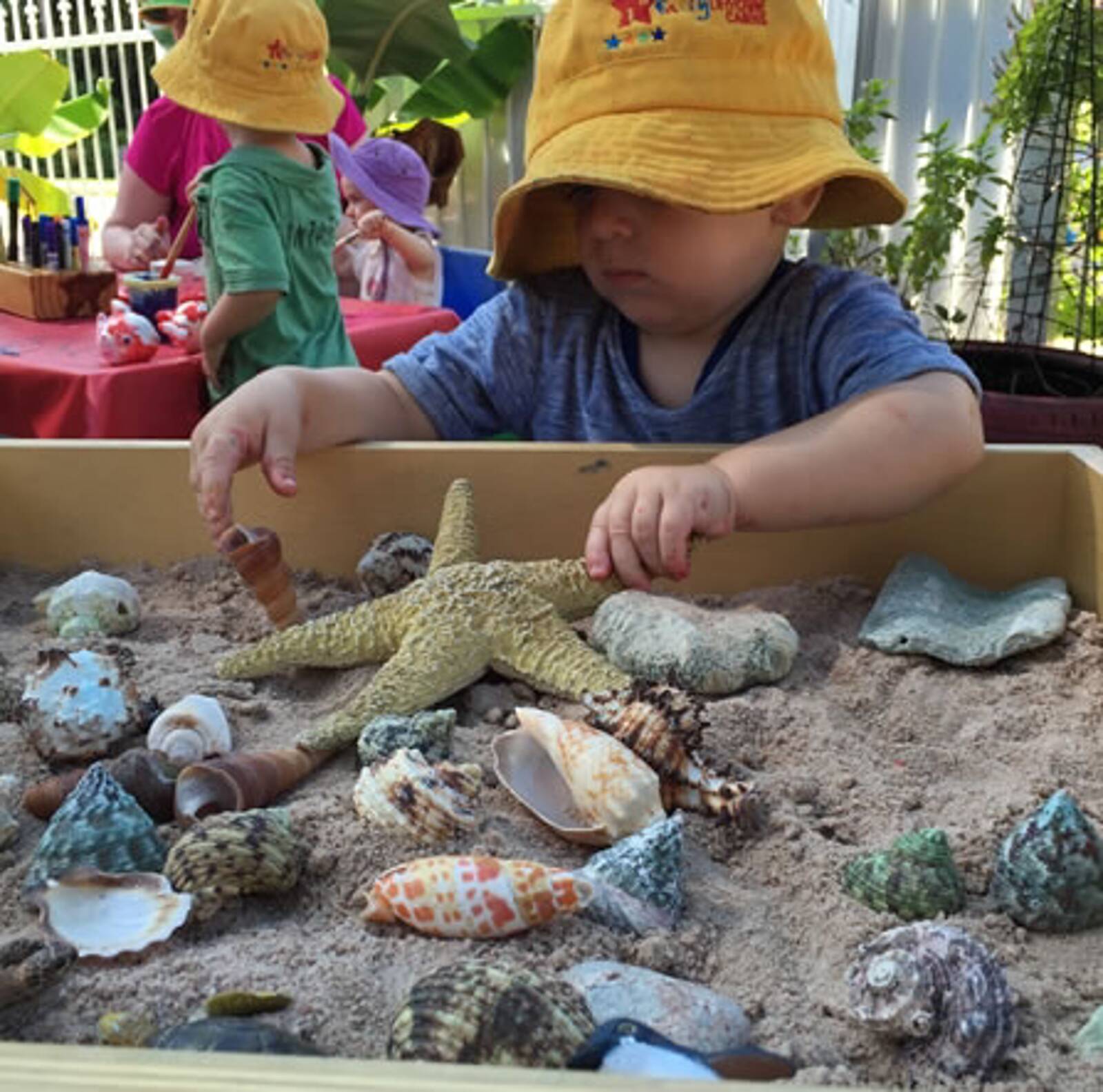 NQ Family Day Care - Servicing Cairns, Northern Beaches, Southern Suburbs, Kuranda, Mareeba, Atherton, Ravenshoe and Townsville