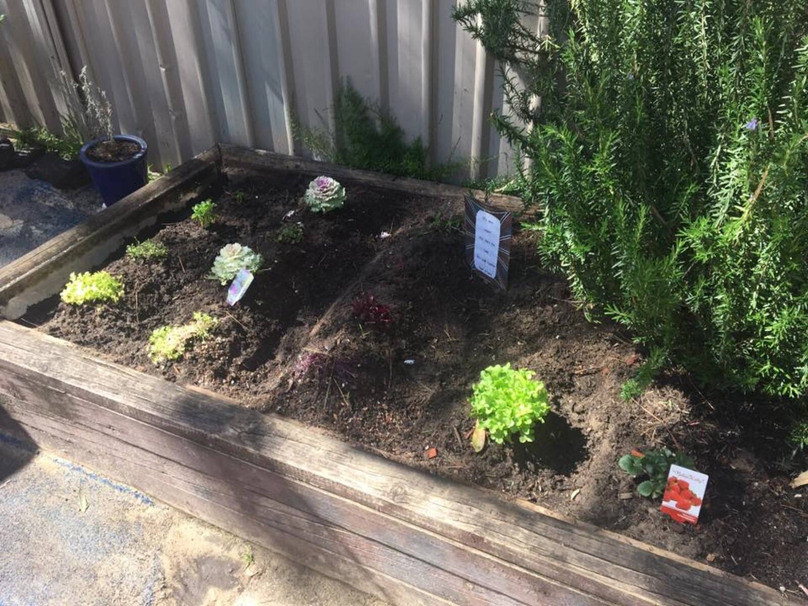 Castlefield Kindergarten