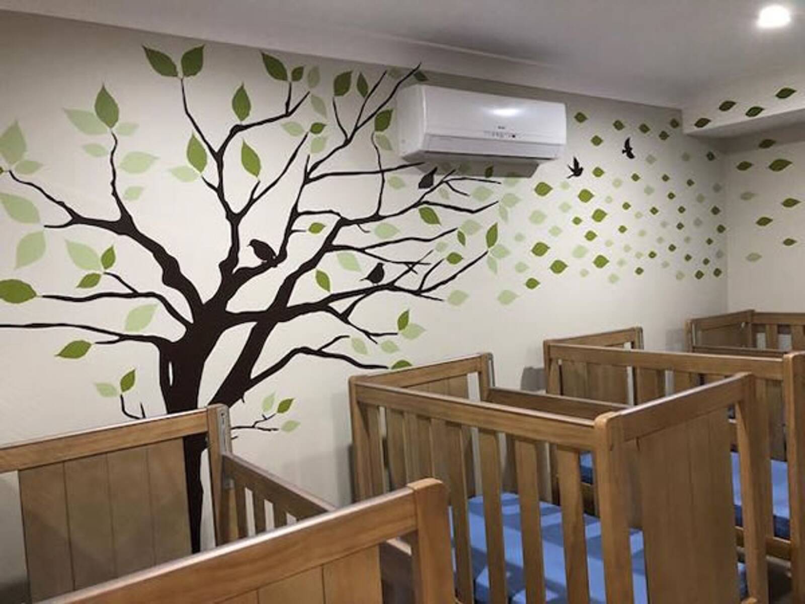 Star Kingdom Childcare Centre & Kindergarten