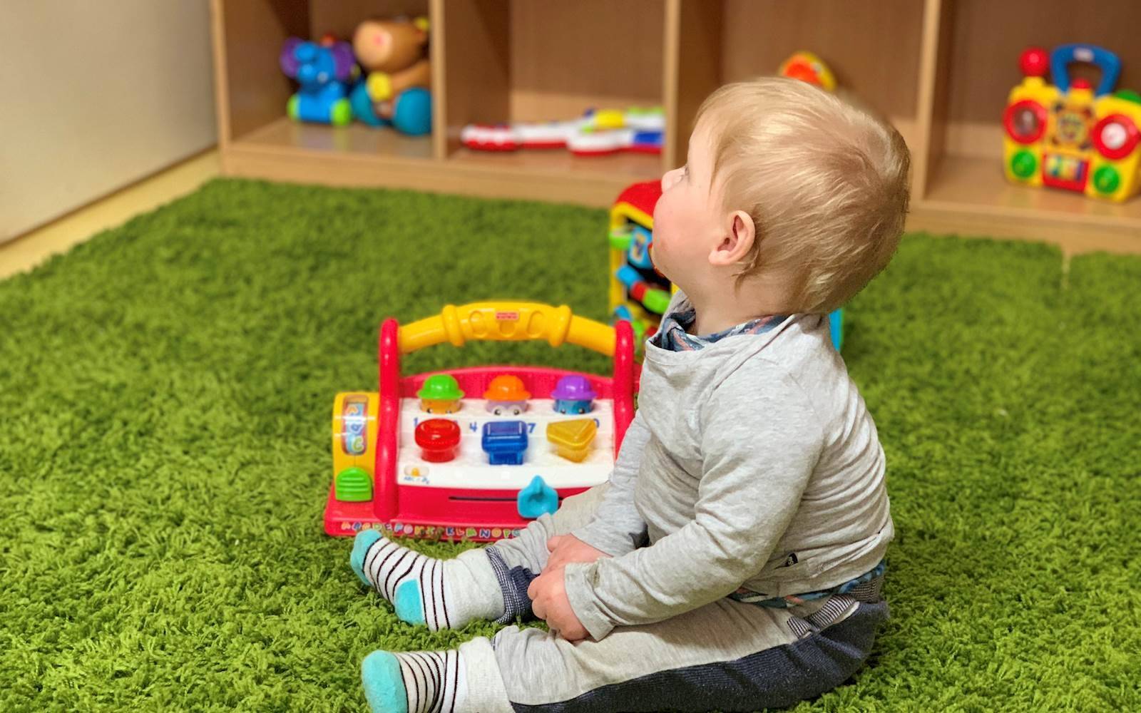 Chipmunks in the Forest - Ambarvale Early Learning Centre