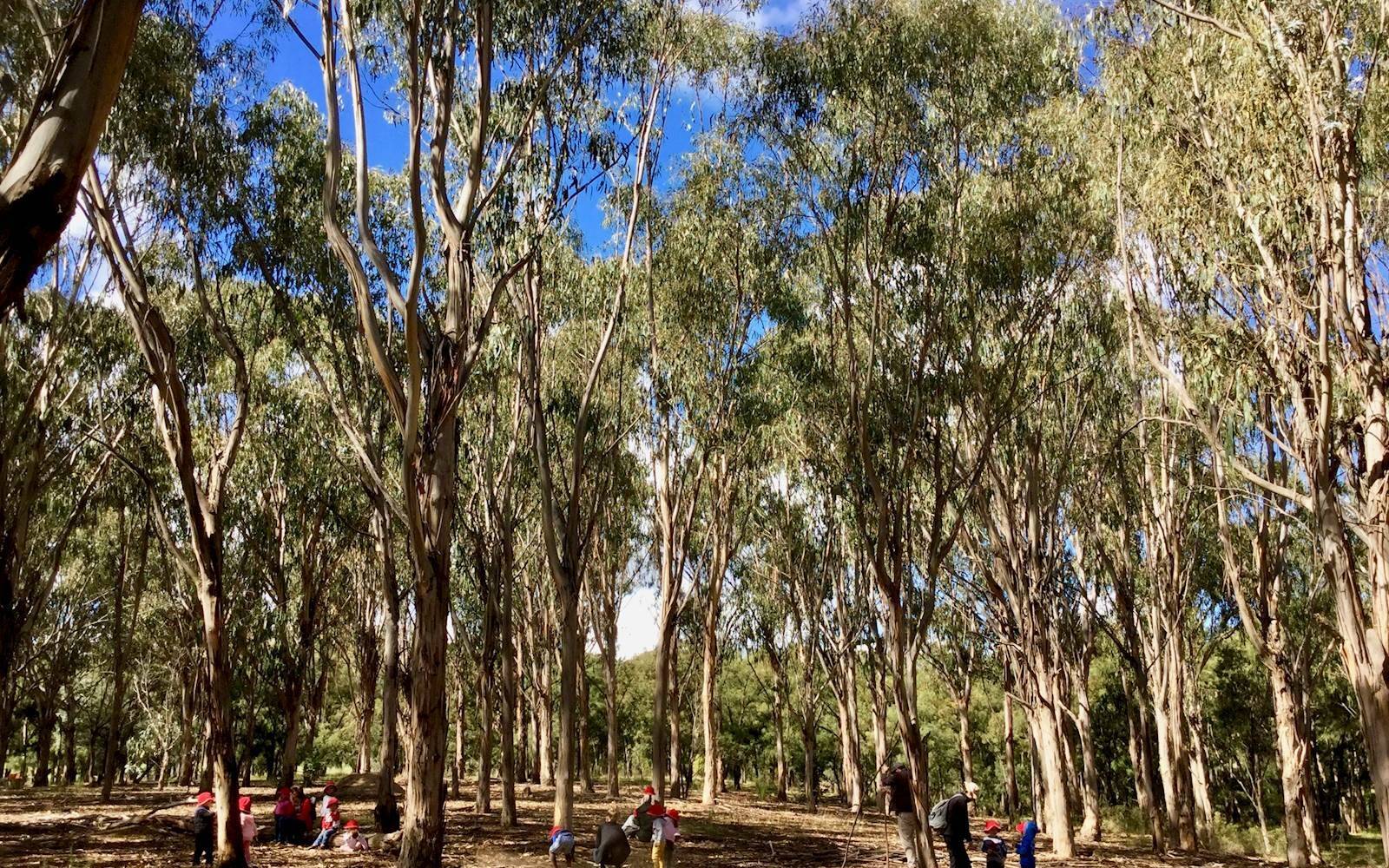 Wiradjuri Pre-School Child Care Centre