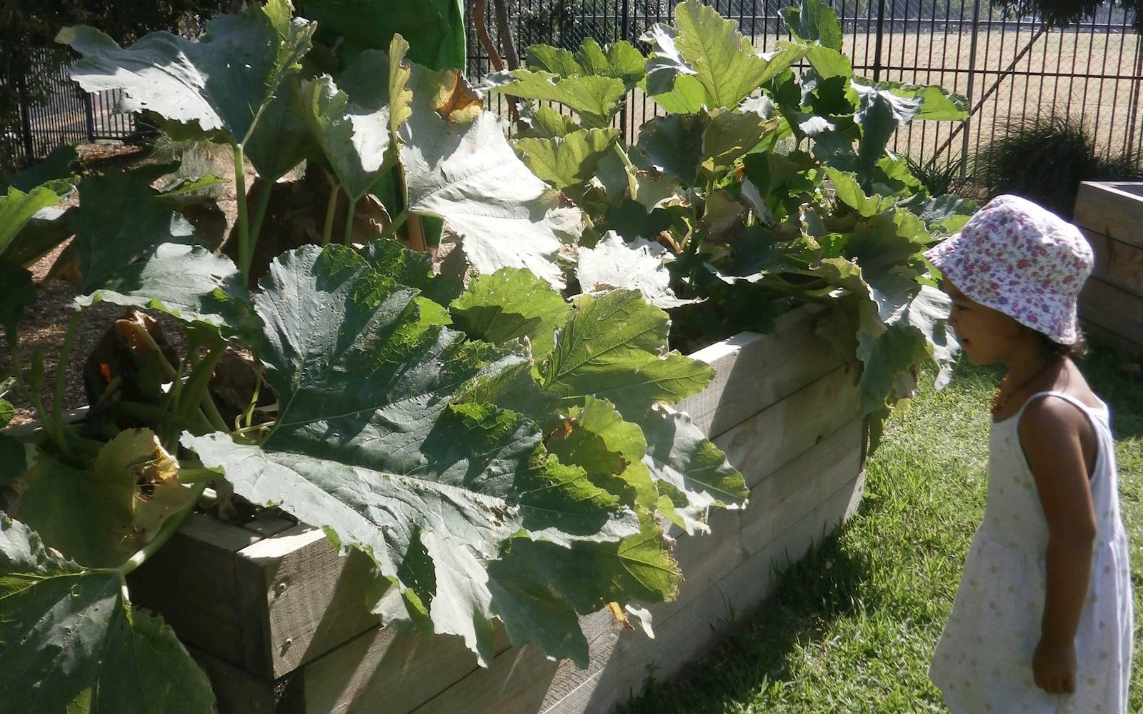 Jack High Child Care Centre