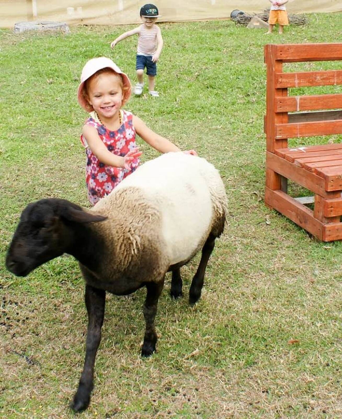 Nurture Early Education Morayfield