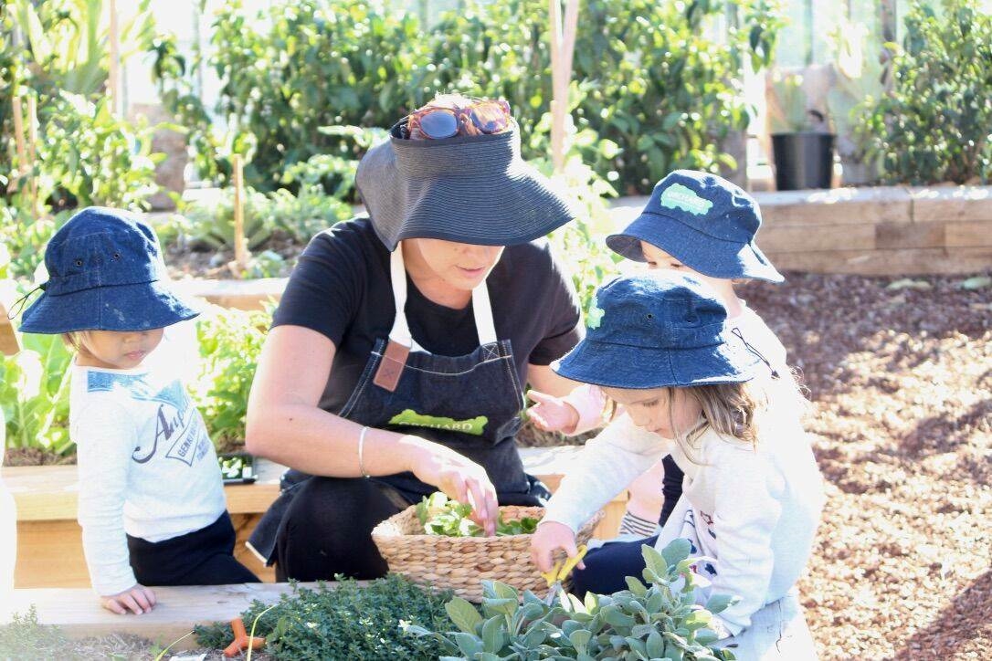 Orchard Early Learning Centre - Kirrawee