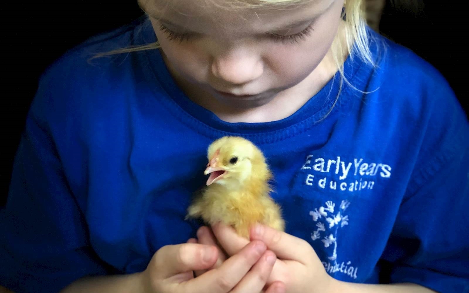 Sparkles Early Learning Centre