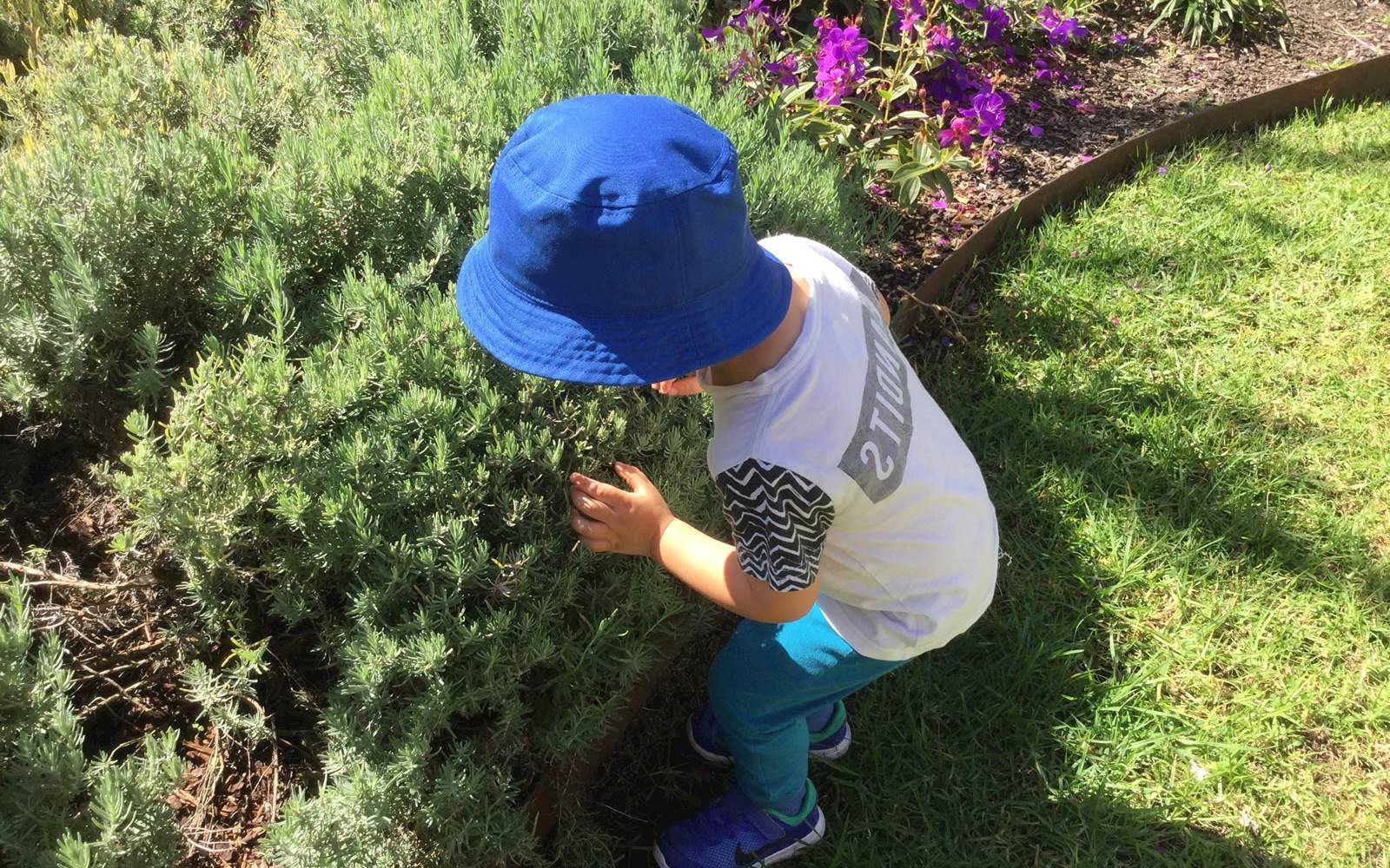 Canterbury Bankstown Family Day Care Scheme