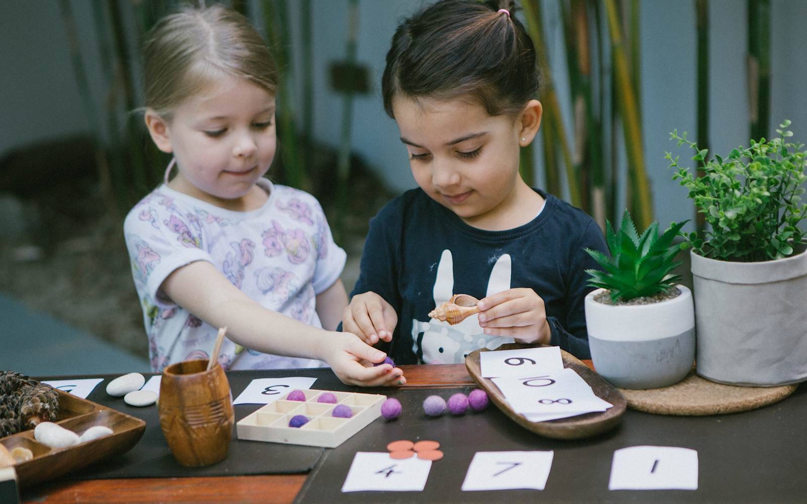 Explore & Develop - Frenchs Forest