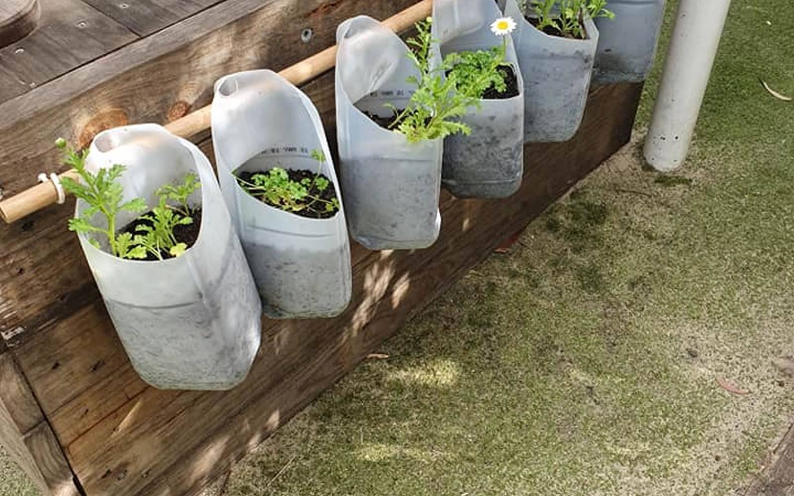 Terrey Hills Community Kindergarten