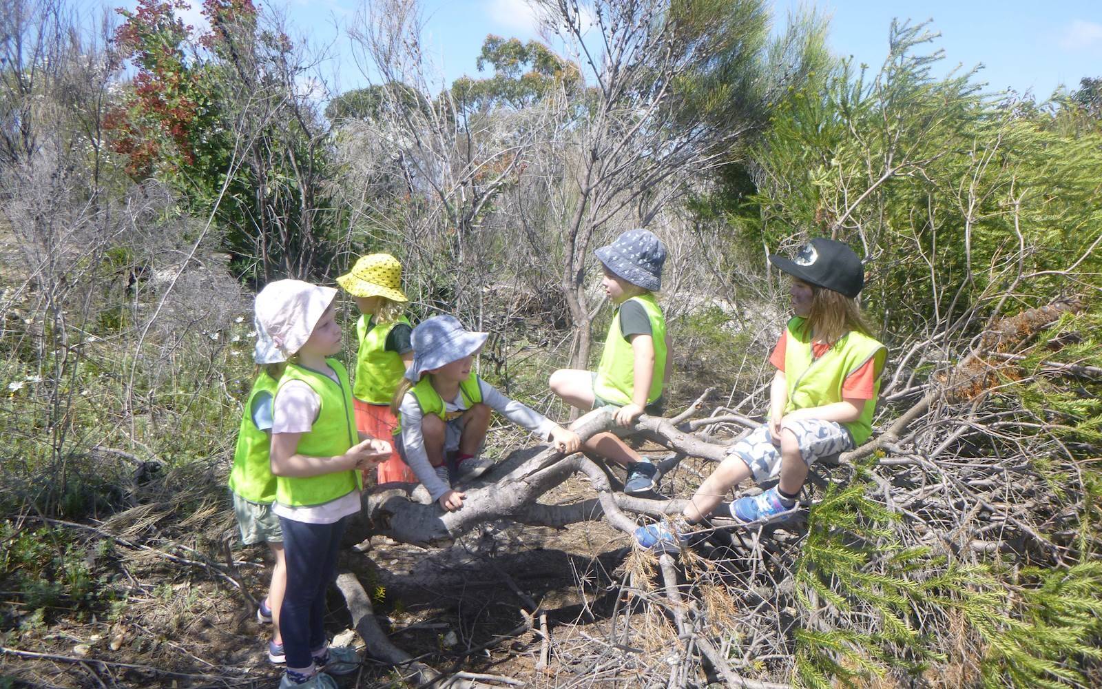 Allambie Bush Kindy