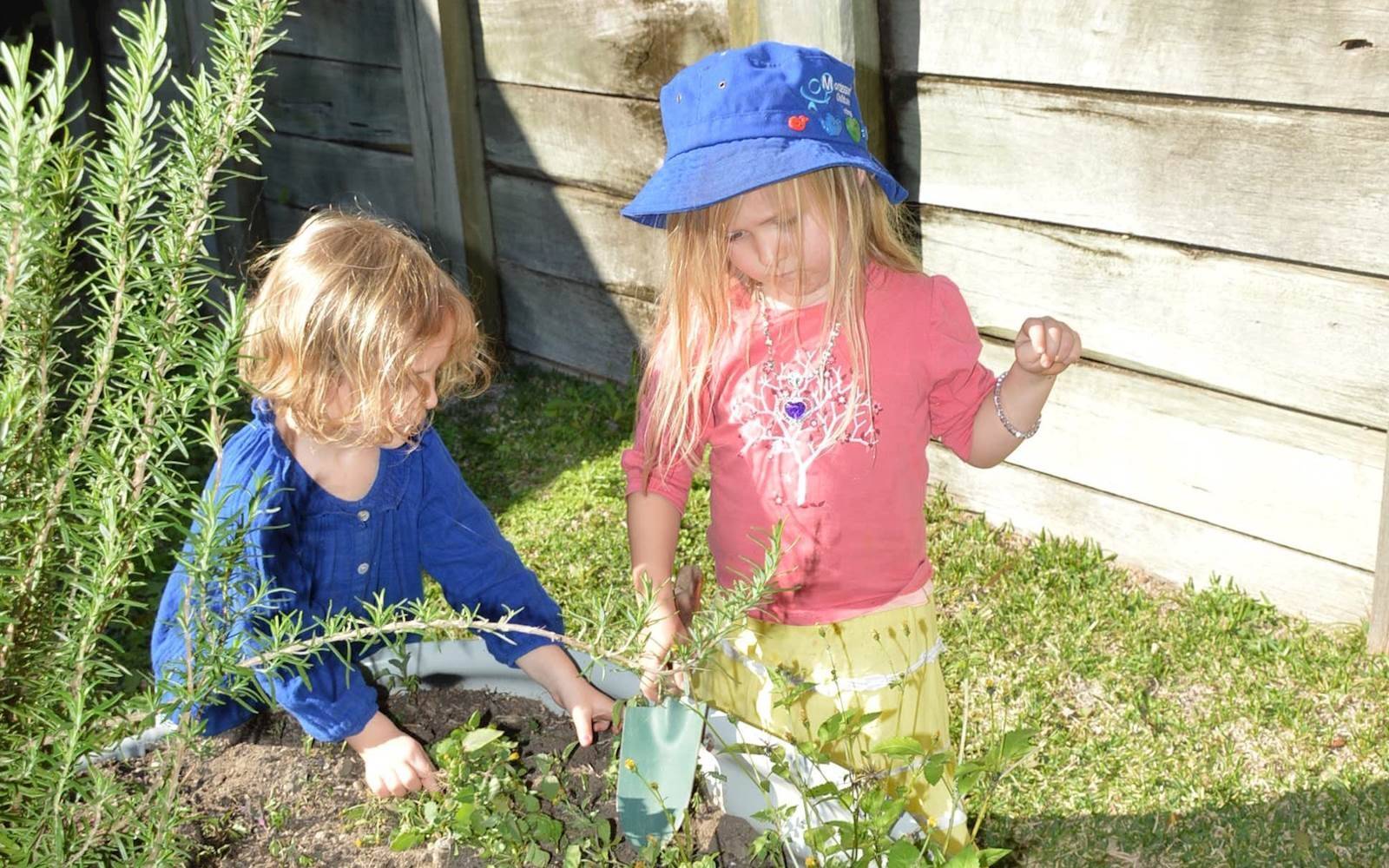 Montessori Early Education Taringa