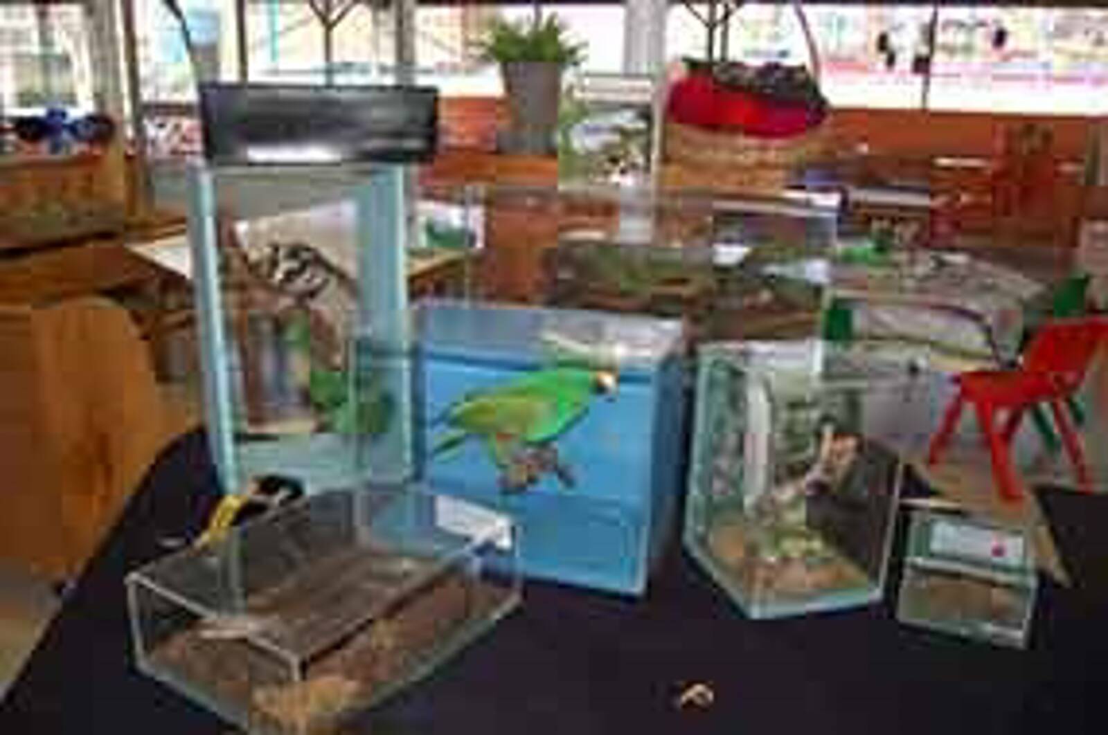 Norman Park Community Kindergarten