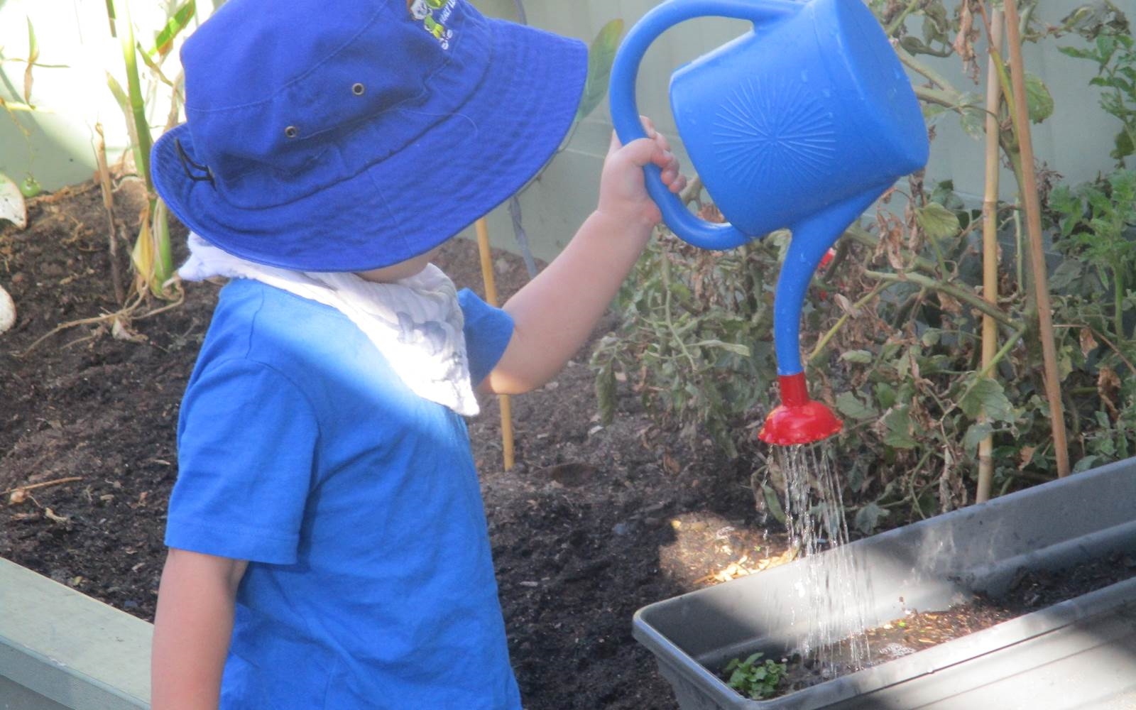 Little Peoples Early Learning Centre - St Helens Park