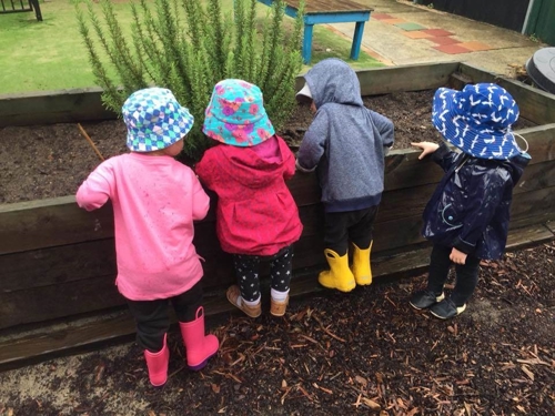 Bumble Bees Early Learning Centre Berowra