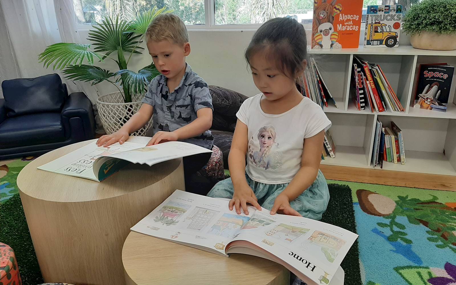 Tree of Life Early Learning School - Willoughby