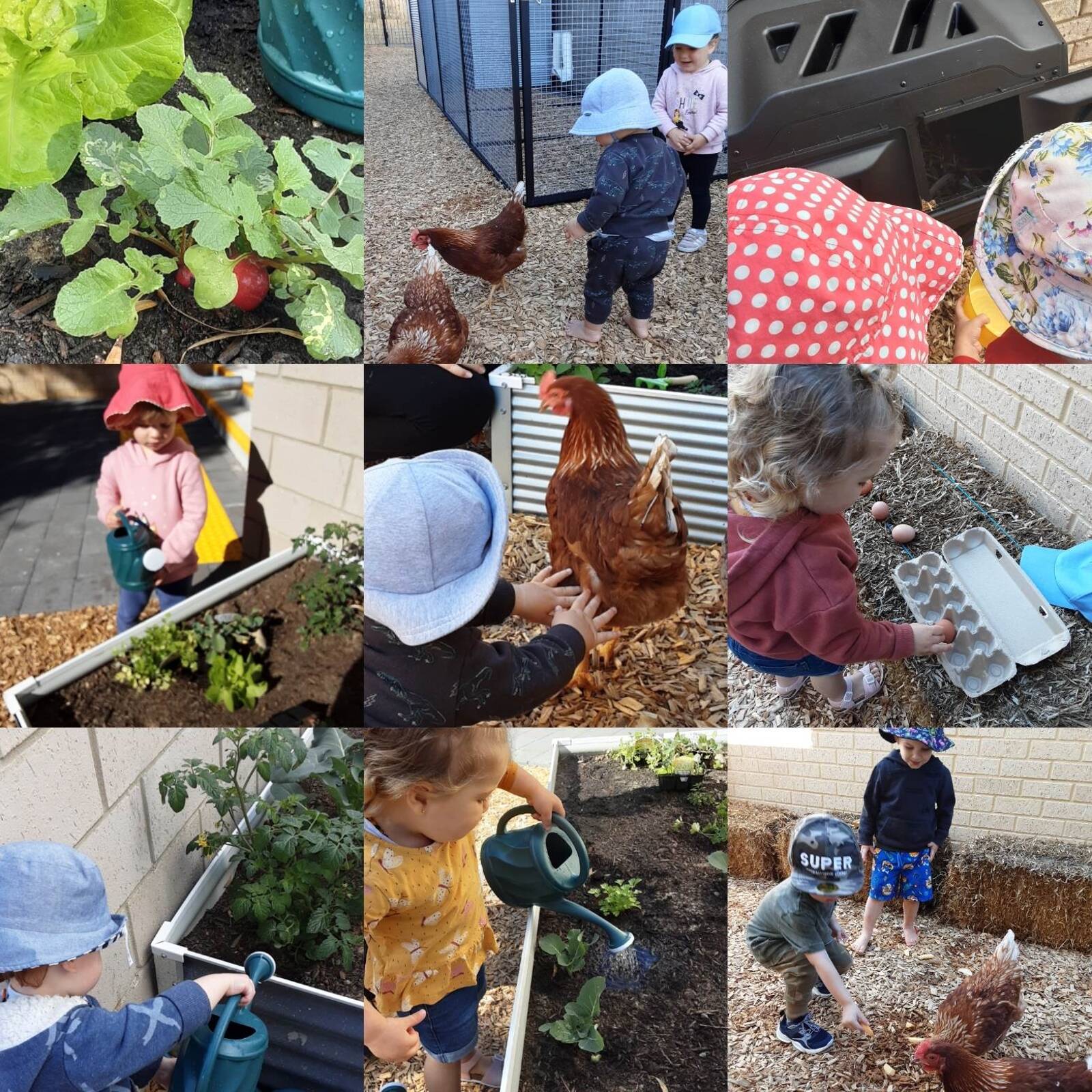 Treetops School of Early Learning