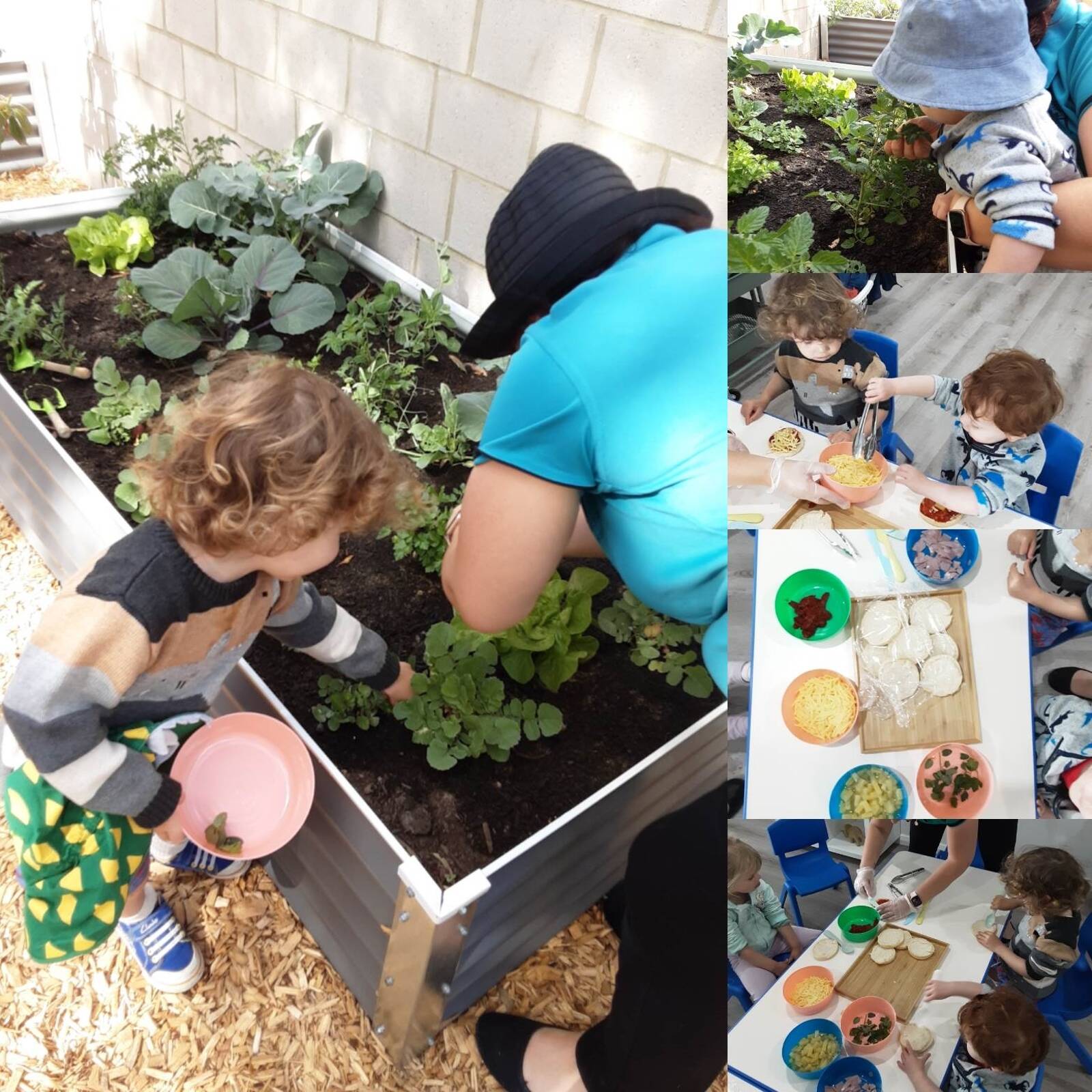 Treetops School of Early Learning