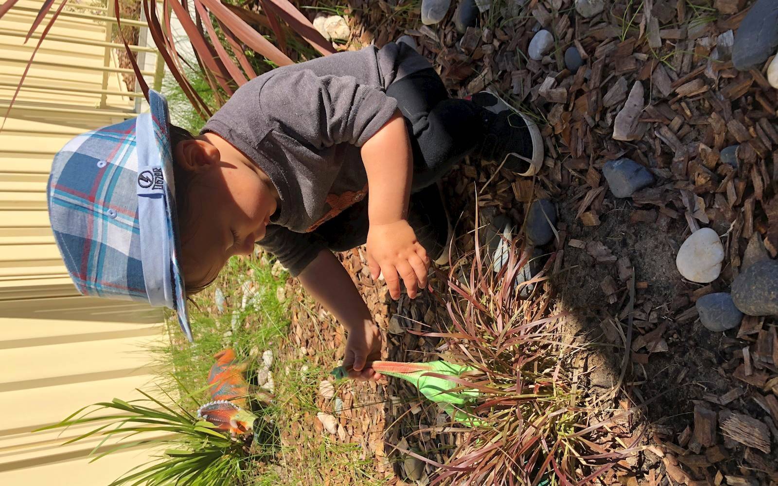 Tara Montessori Midland - Now opened 7:00am-5:30pm