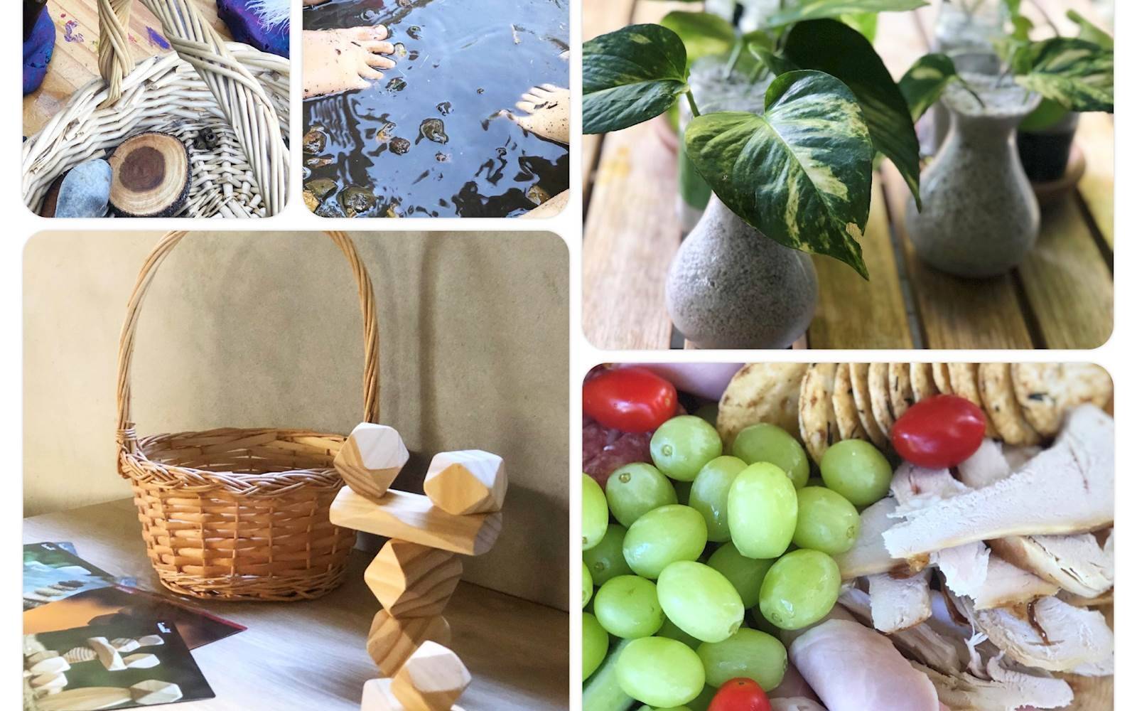 Mudpies and Dragonflies Family Day Care