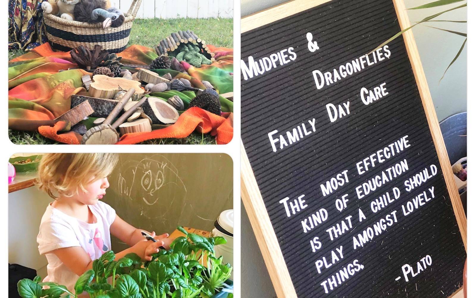 Mudpies and Dragonflies Family Day Care