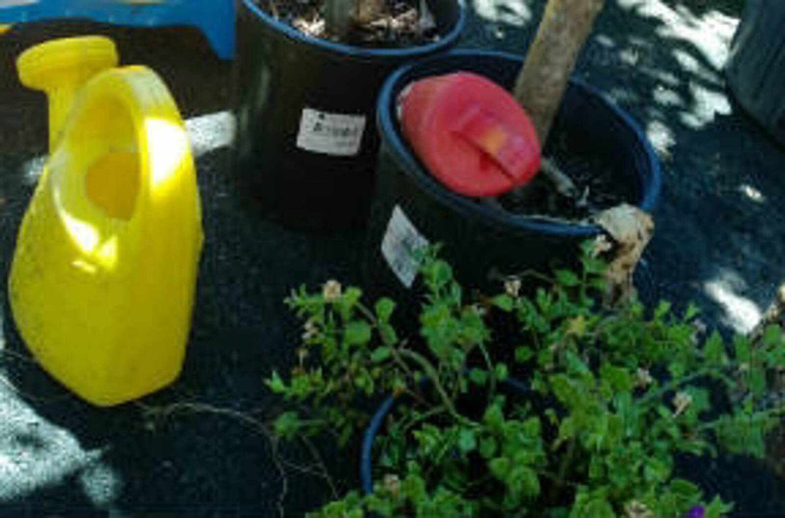 Kiddies on First Early Learning Child Care Centre