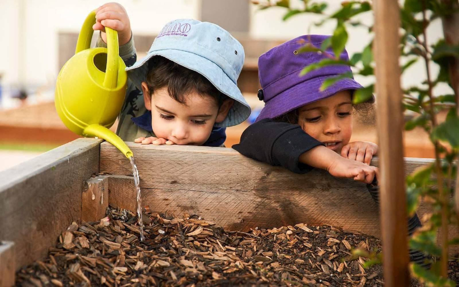Nino Early Learning Adventures Lalor