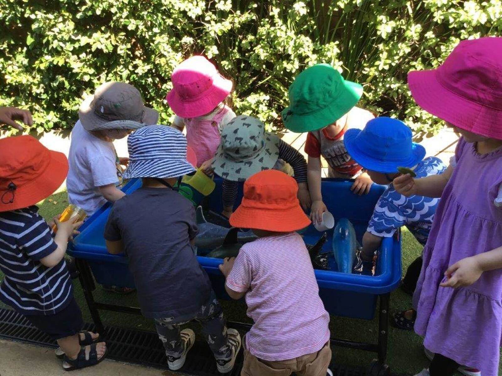 Glen Iris Childcare and Kindergarten