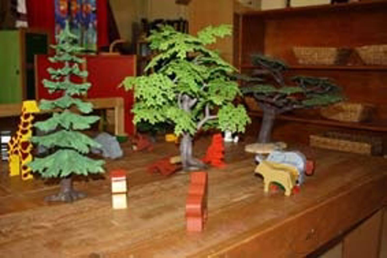 Tropics Early Learning