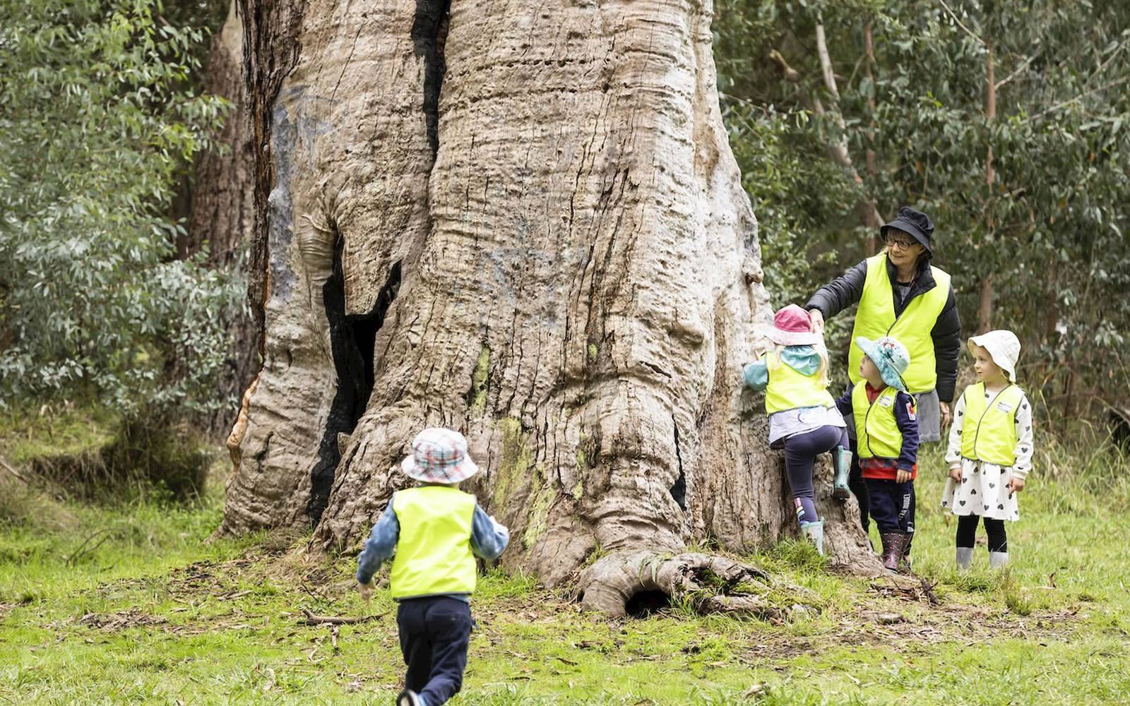 Mayfield Early Education Lilydale
