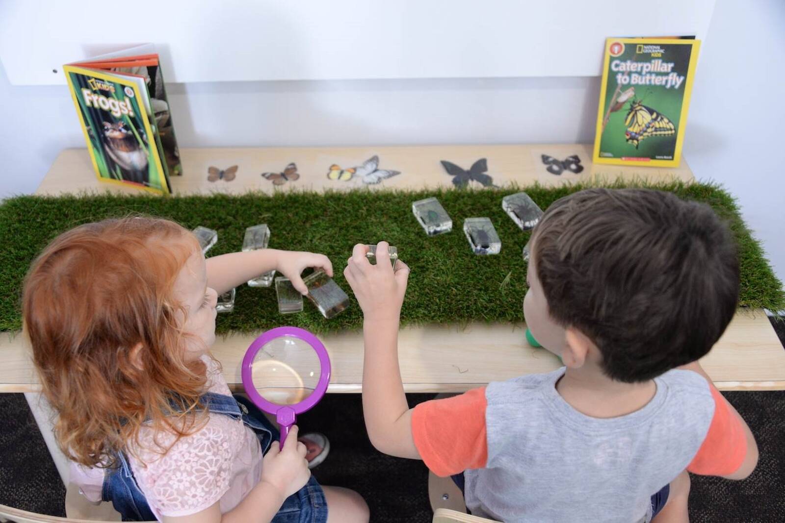 Little Miracles Preschool and Long Daycare Tuggerah