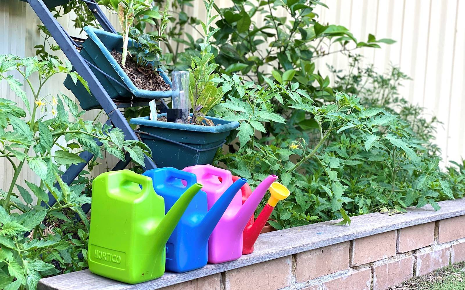 Creative Kiddies Childcare - Lurnea