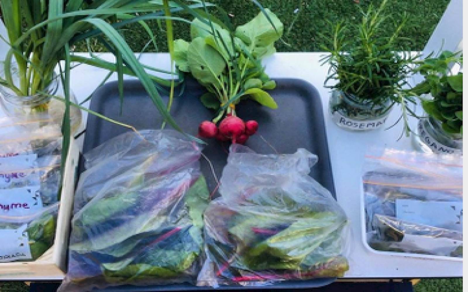 The Village Creative Education Brookvale