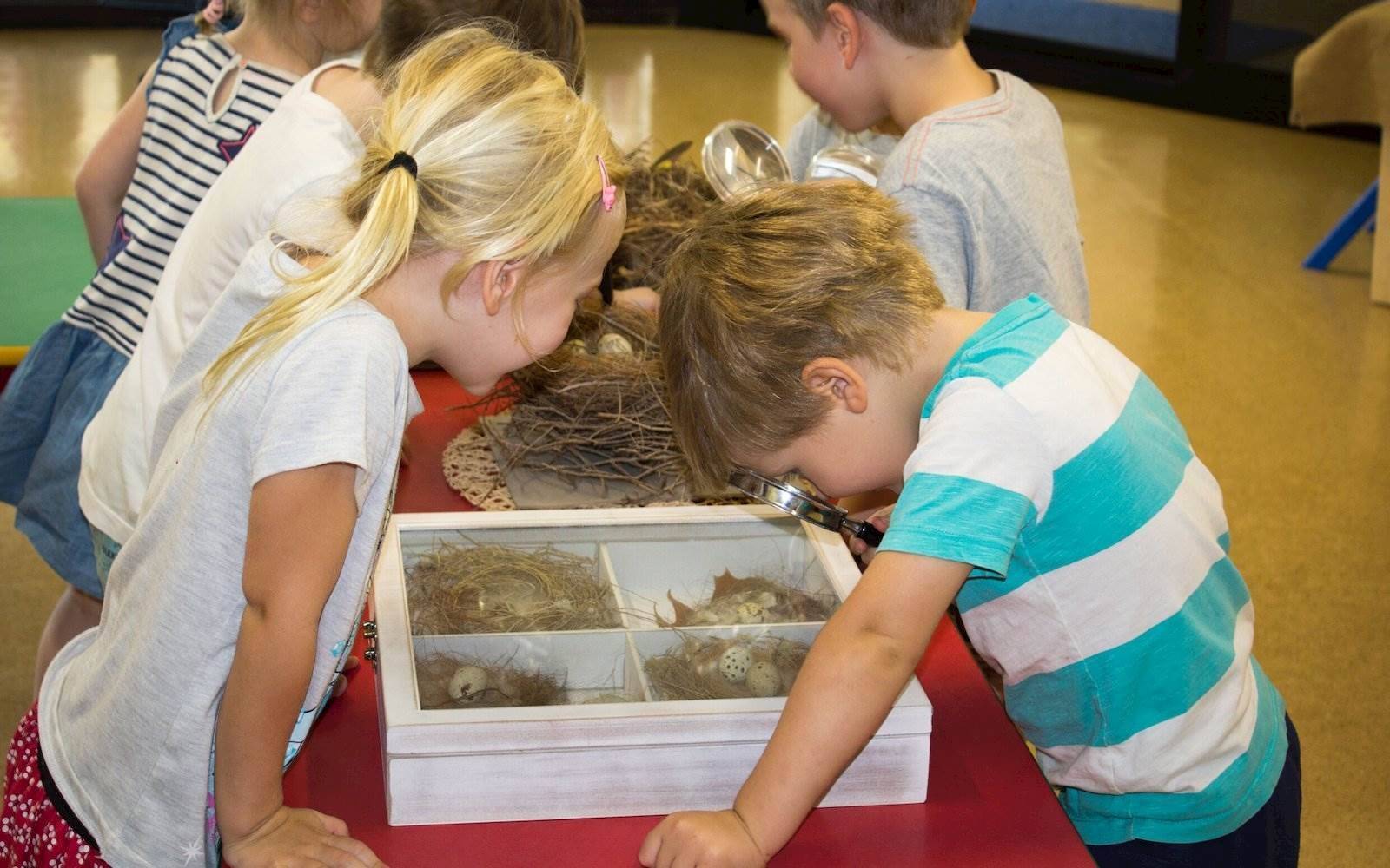 Willoughby Community Pre-School