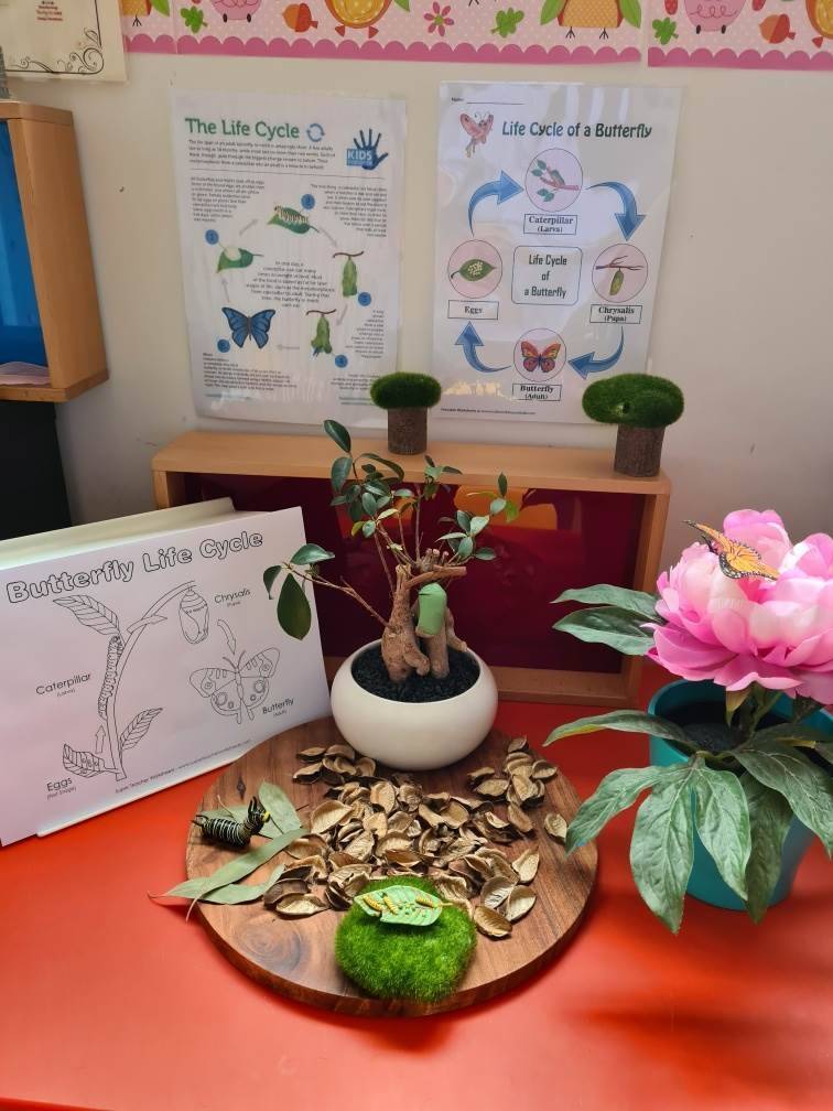 Little Stars Family Day Care