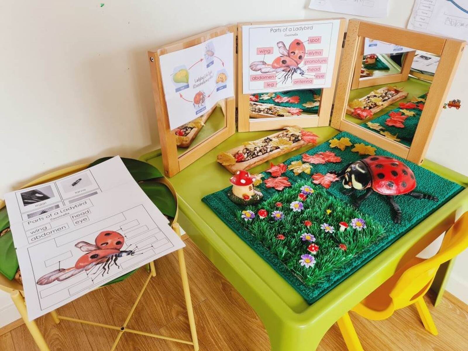 Little Stars Family Day Care