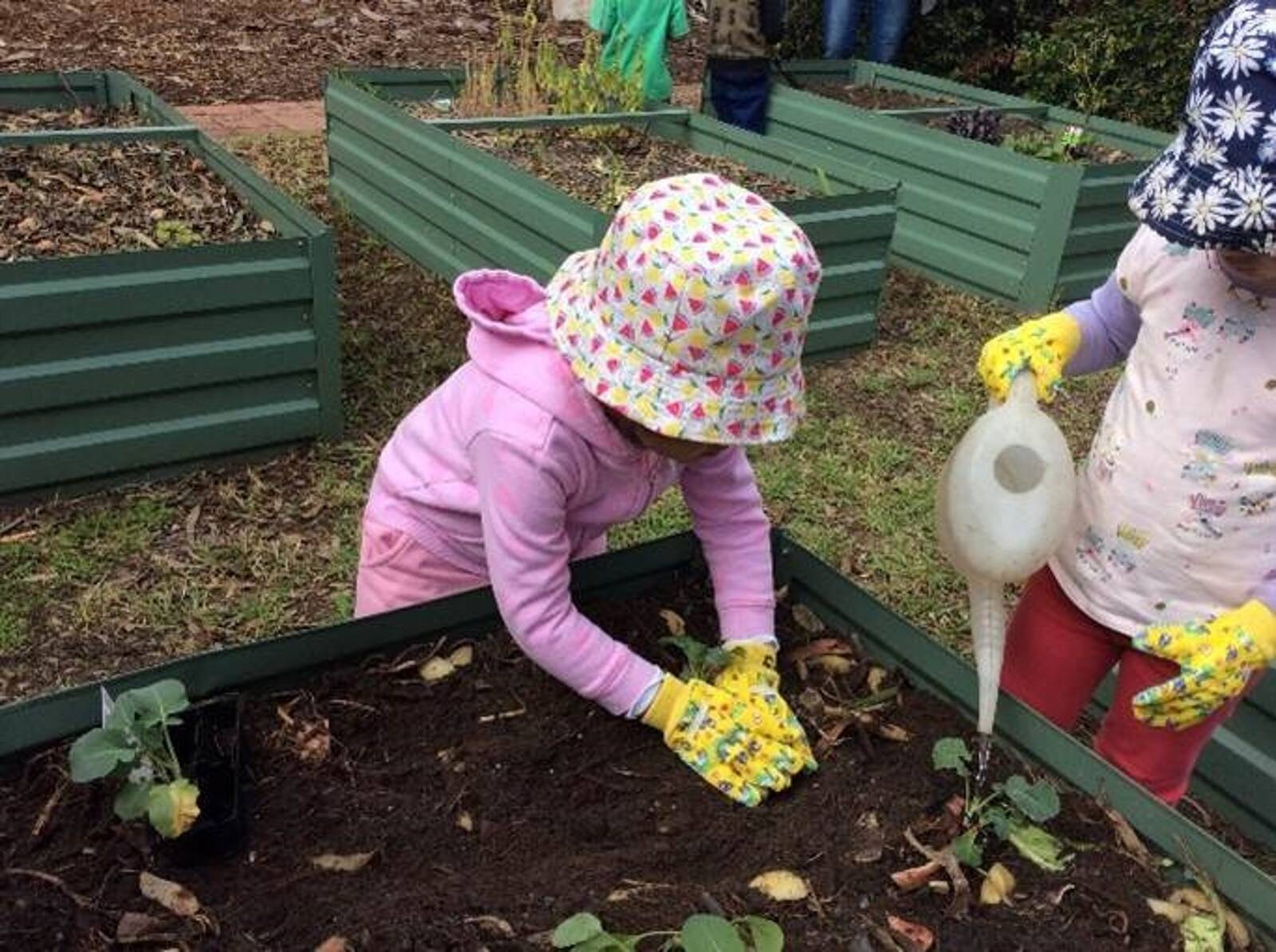 Warradale Community Children's Centre Inc Parkholme Campus