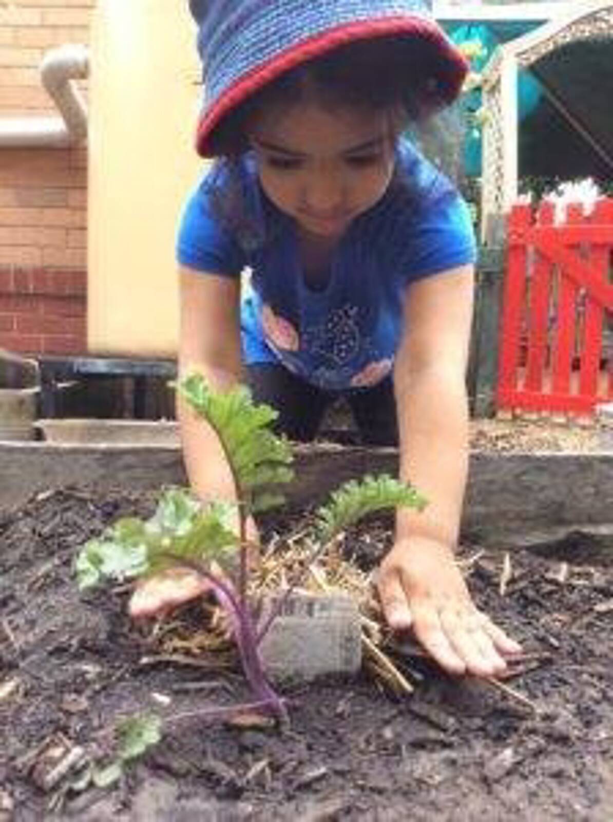 Fifth Avenue Day Care Centre